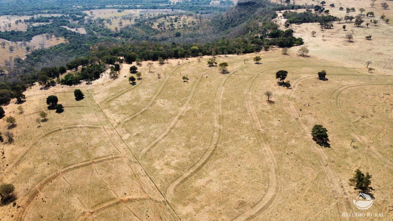 Fazenda à venda com 1 quarto, 1420000m² - Foto 17