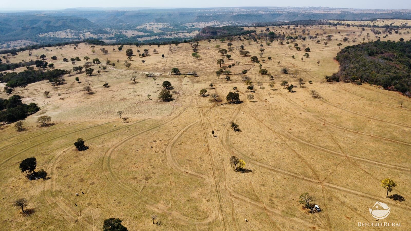 Fazenda à venda com 1 quarto, 1420000m² - Foto 19