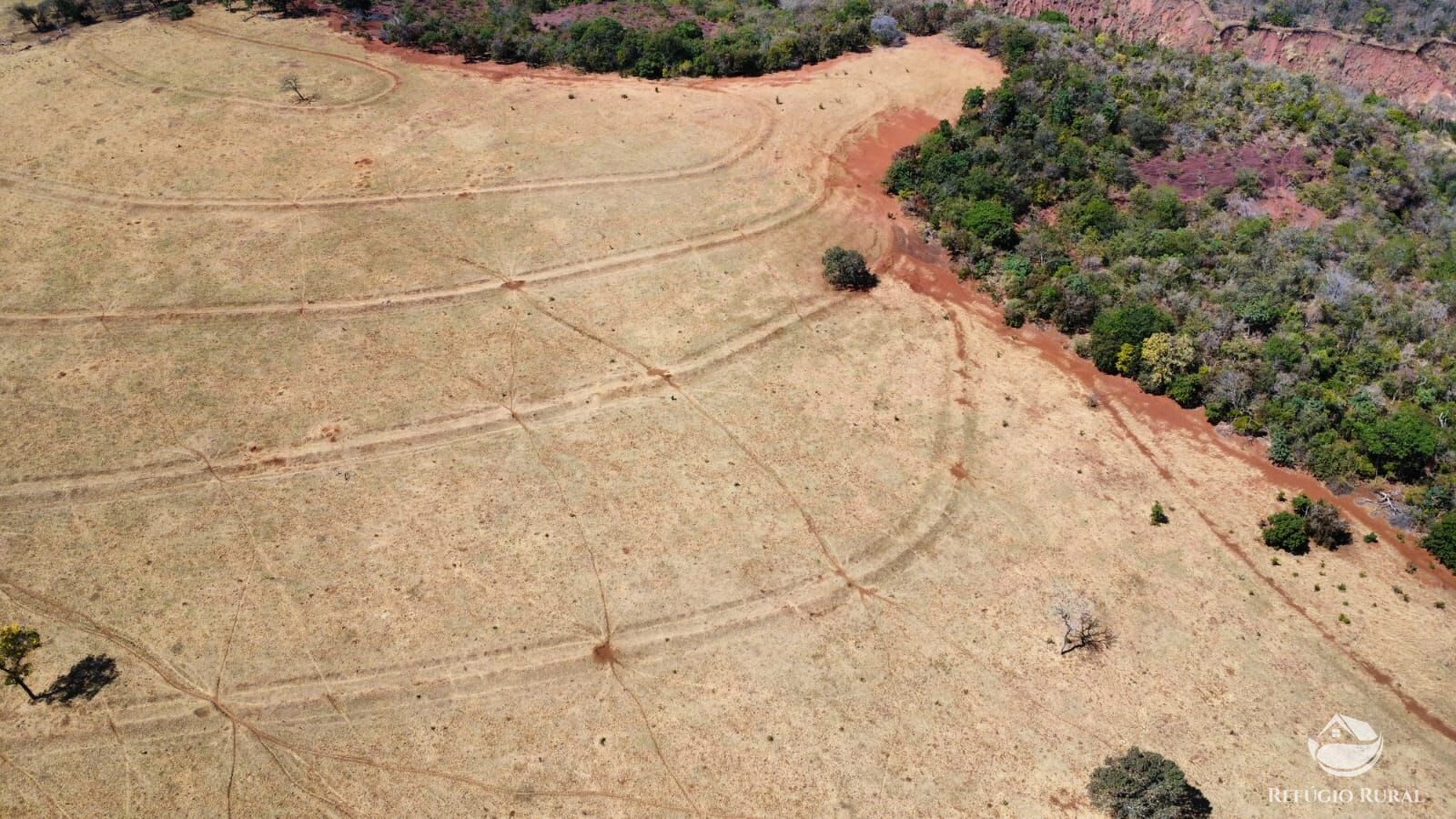 Fazenda à venda com 1 quarto, 1420000m² - Foto 14