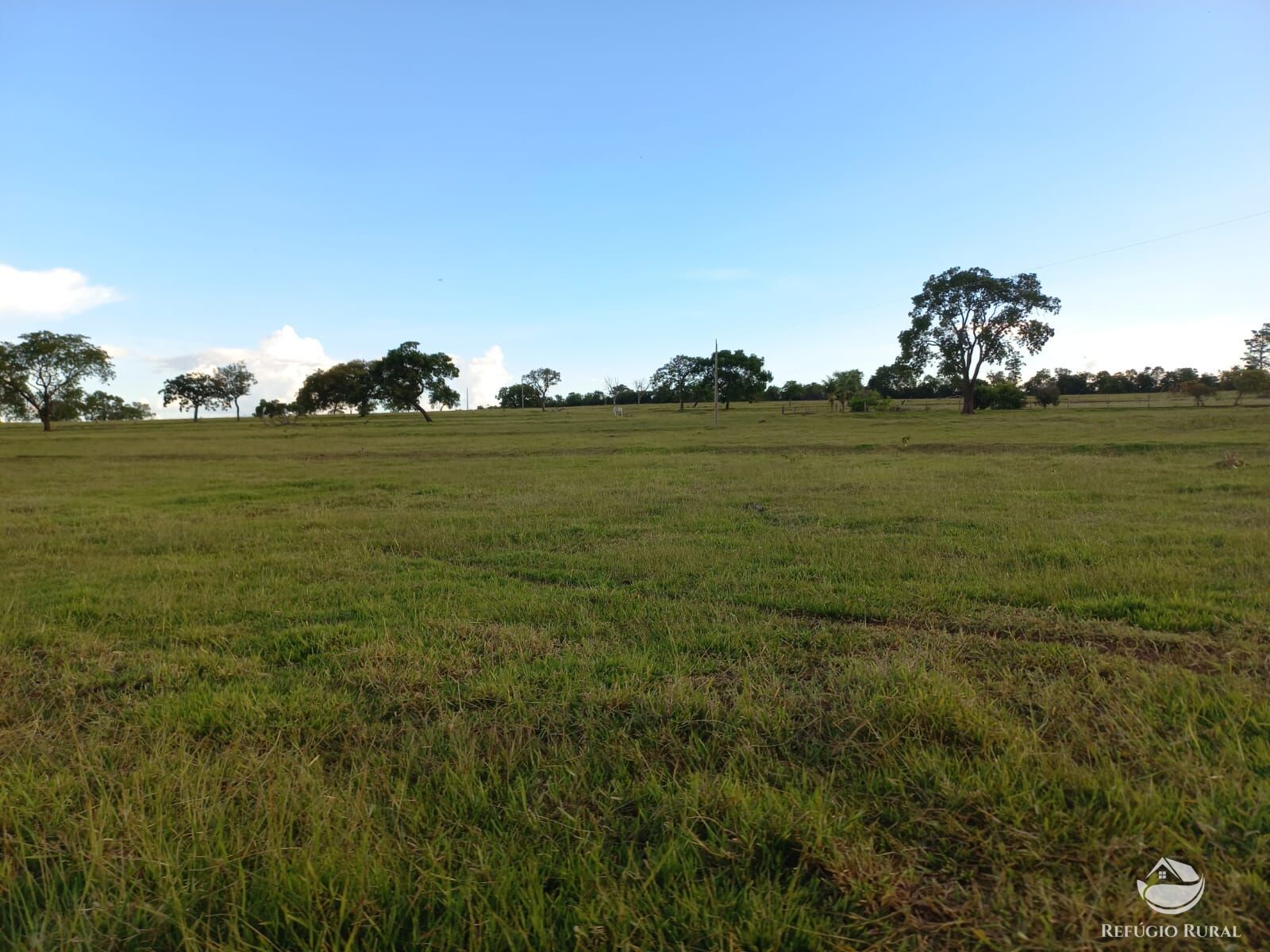 Fazenda à venda com 1 quarto, 1420000m² - Foto 8