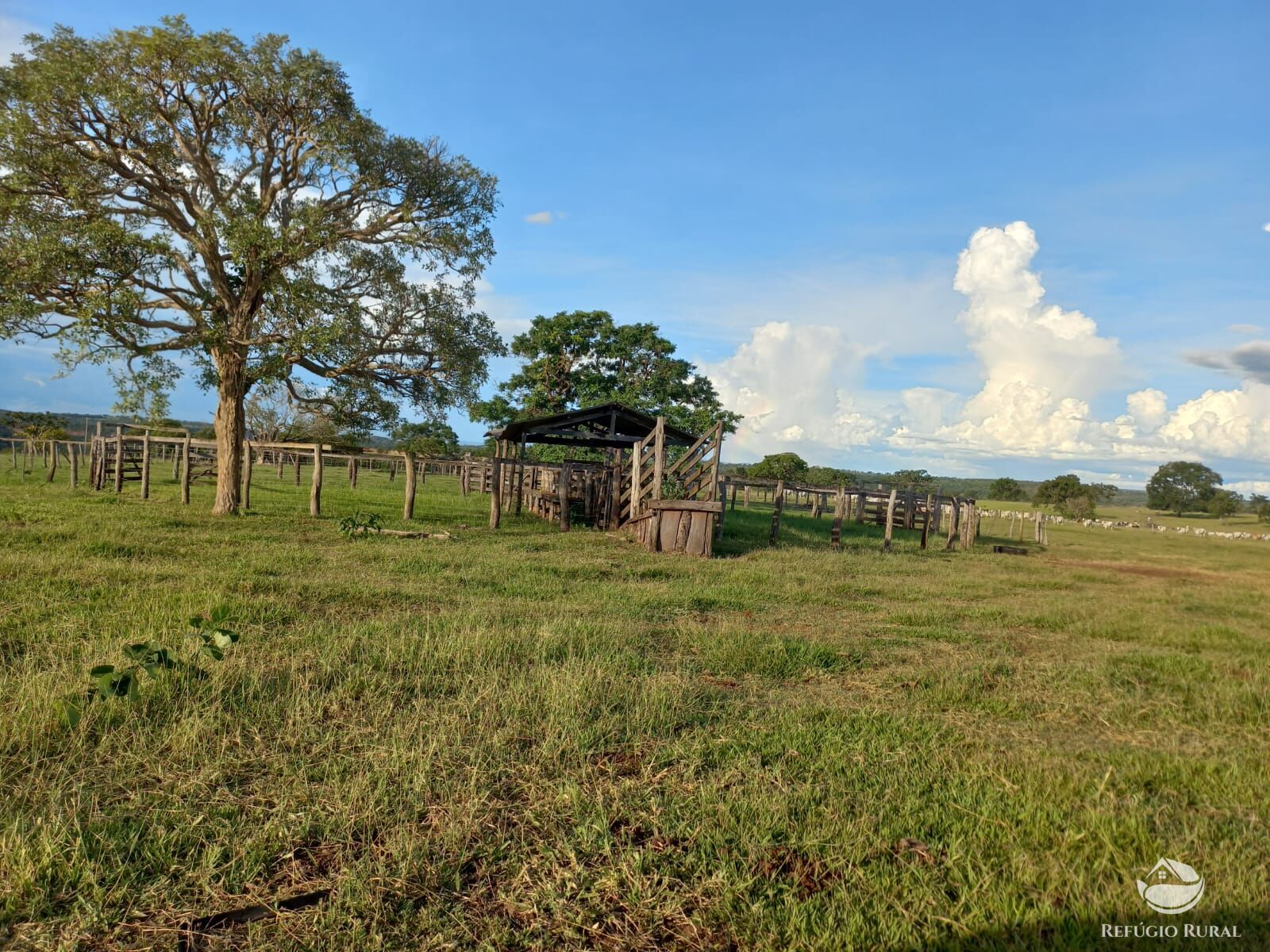 Fazenda à venda com 1 quarto, 1420000m² - Foto 10