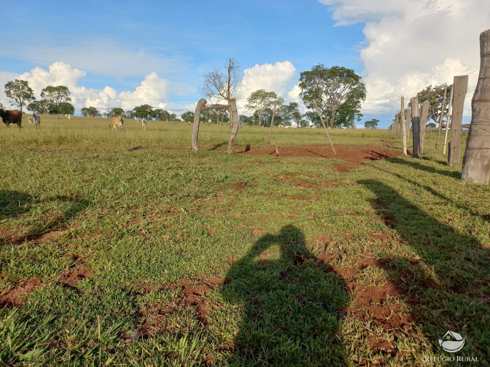 Fazenda à venda com 1 quarto, 1420000m² - Foto 9