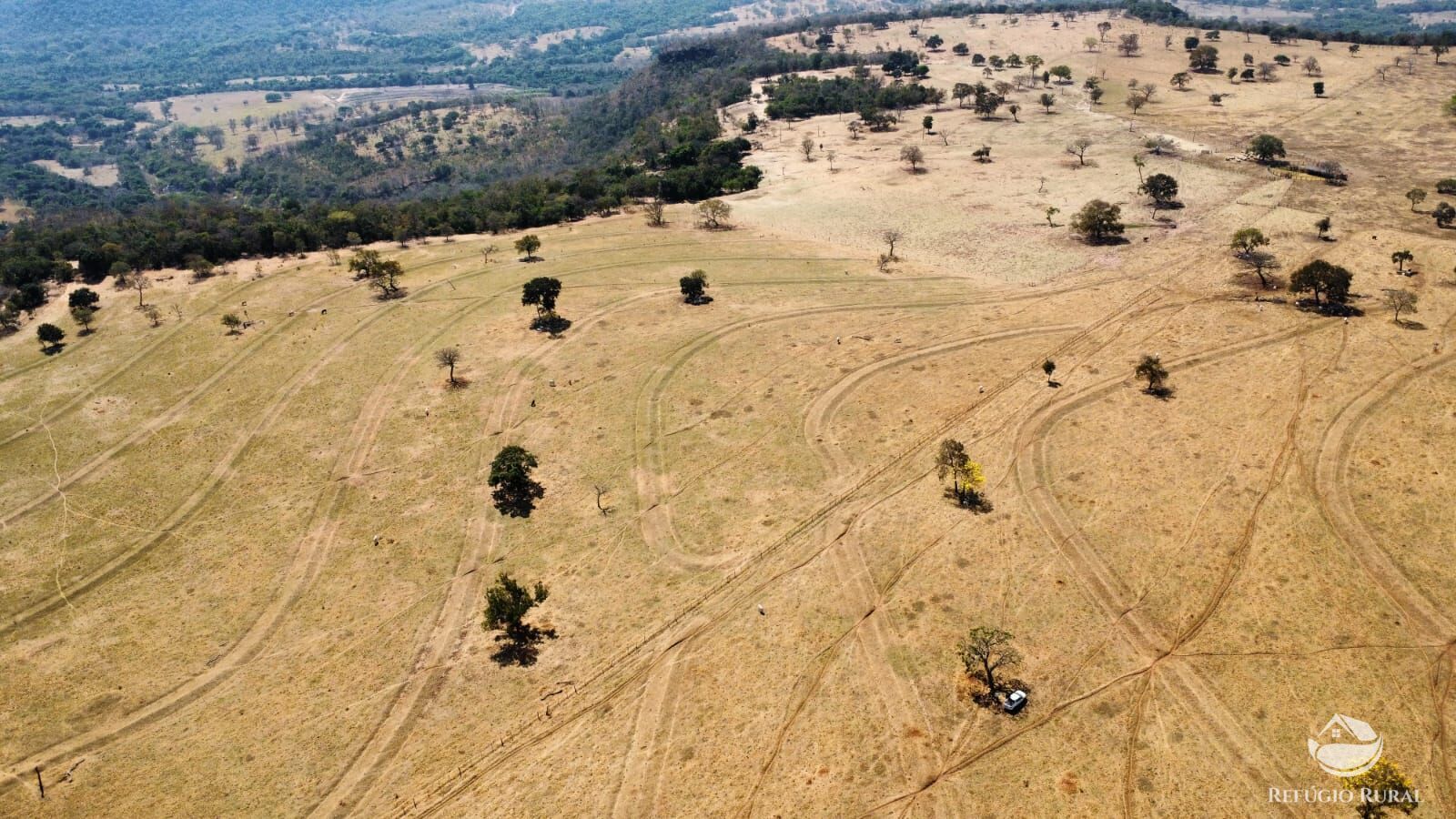 Fazenda à venda com 1 quarto, 1420000m² - Foto 13