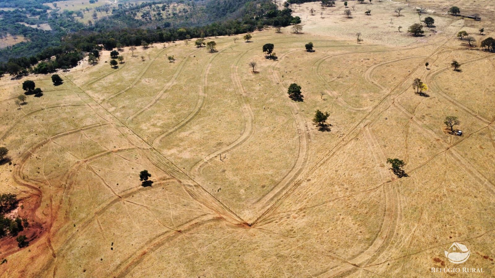 Fazenda à venda com 1 quarto, 1420000m² - Foto 16