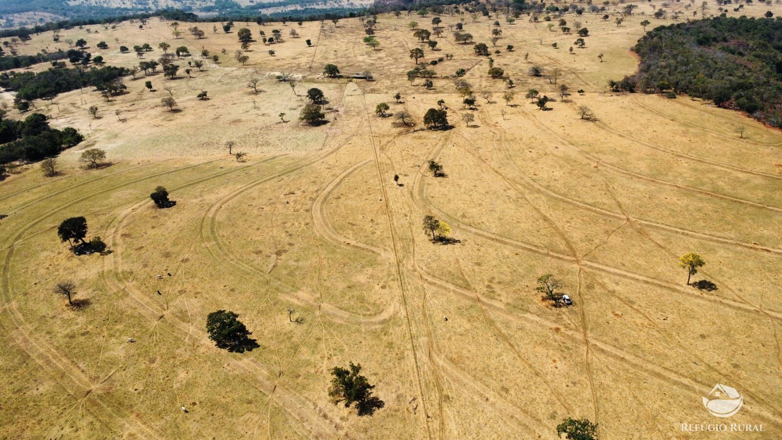 Fazenda à venda com 1 quarto, 1420000m² - Foto 18