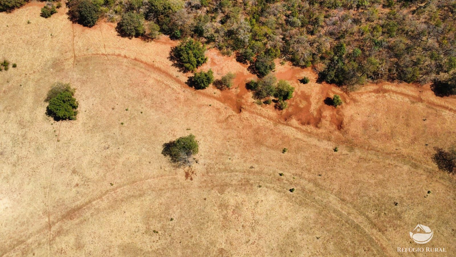 Fazenda à venda com 1 quarto, 1420000m² - Foto 3