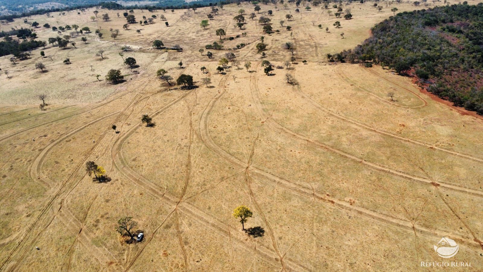 Fazenda à venda com 1 quarto, 1420000m² - Foto 12