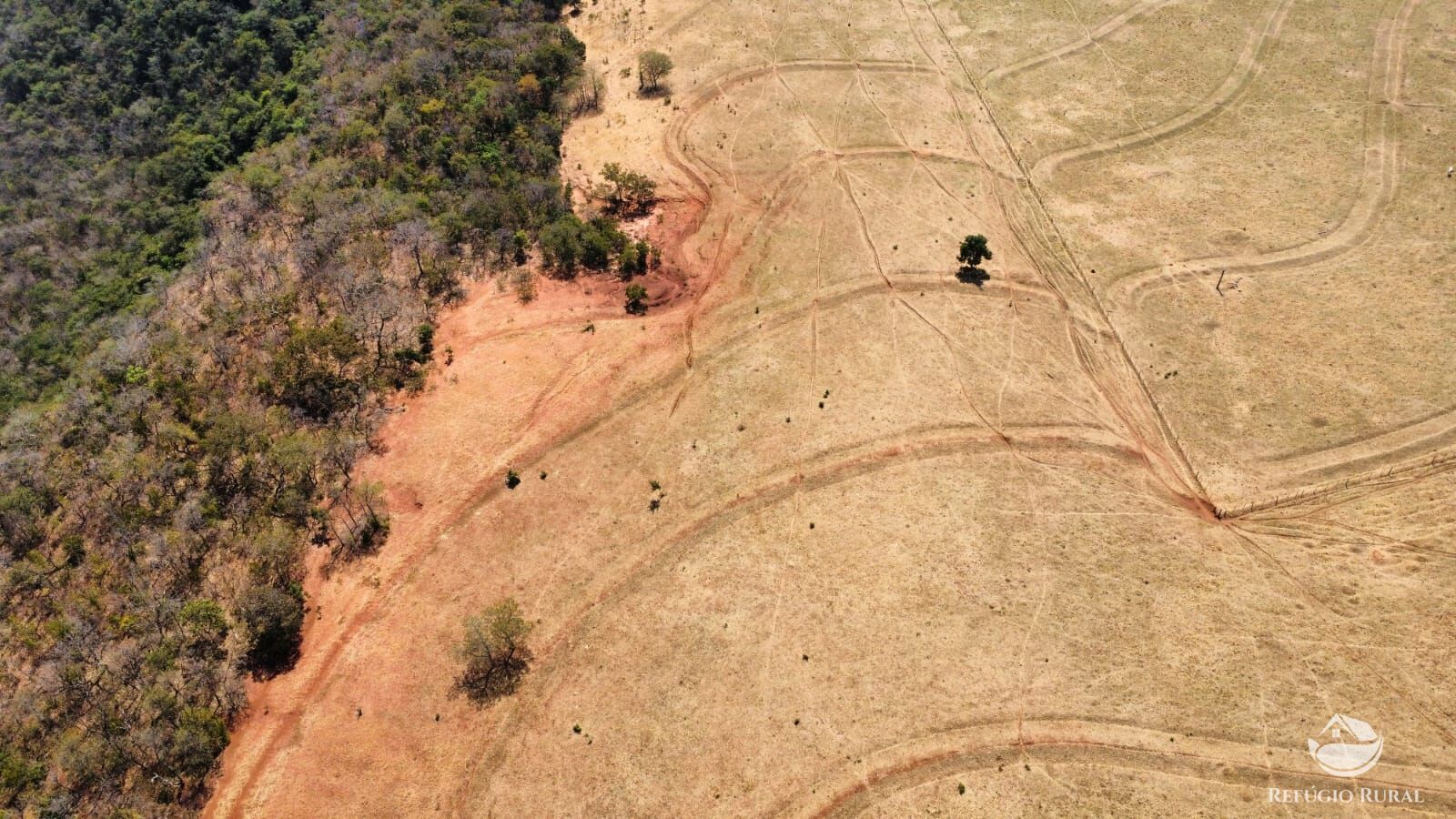 Fazenda à venda com 1 quarto, 1420000m² - Foto 15