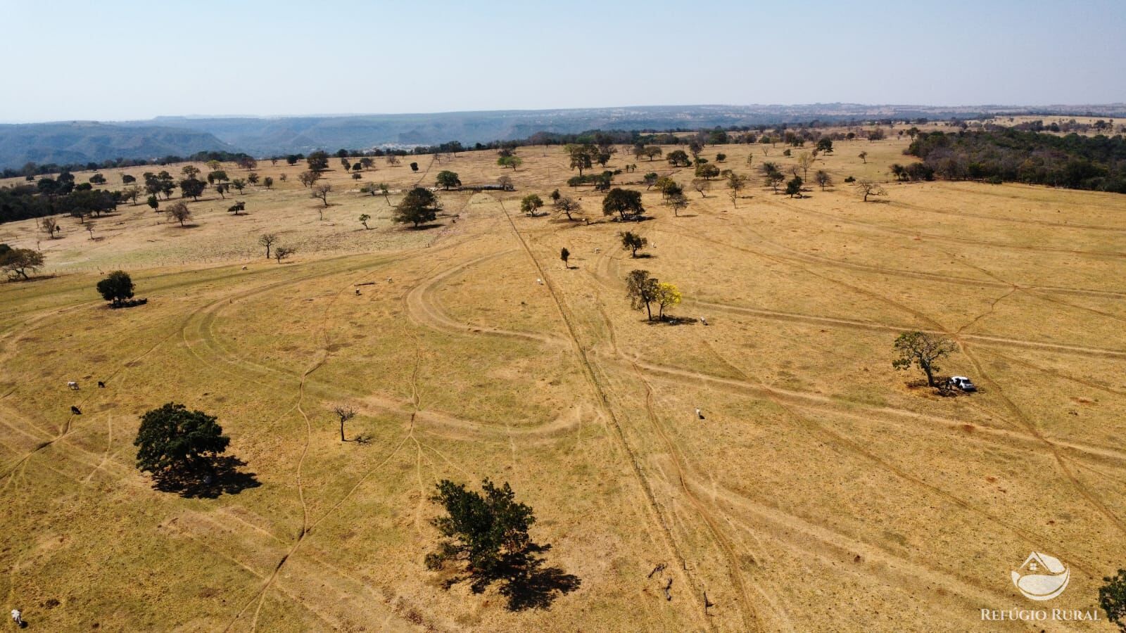 Fazenda à venda com 1 quarto, 1420000m² - Foto 20