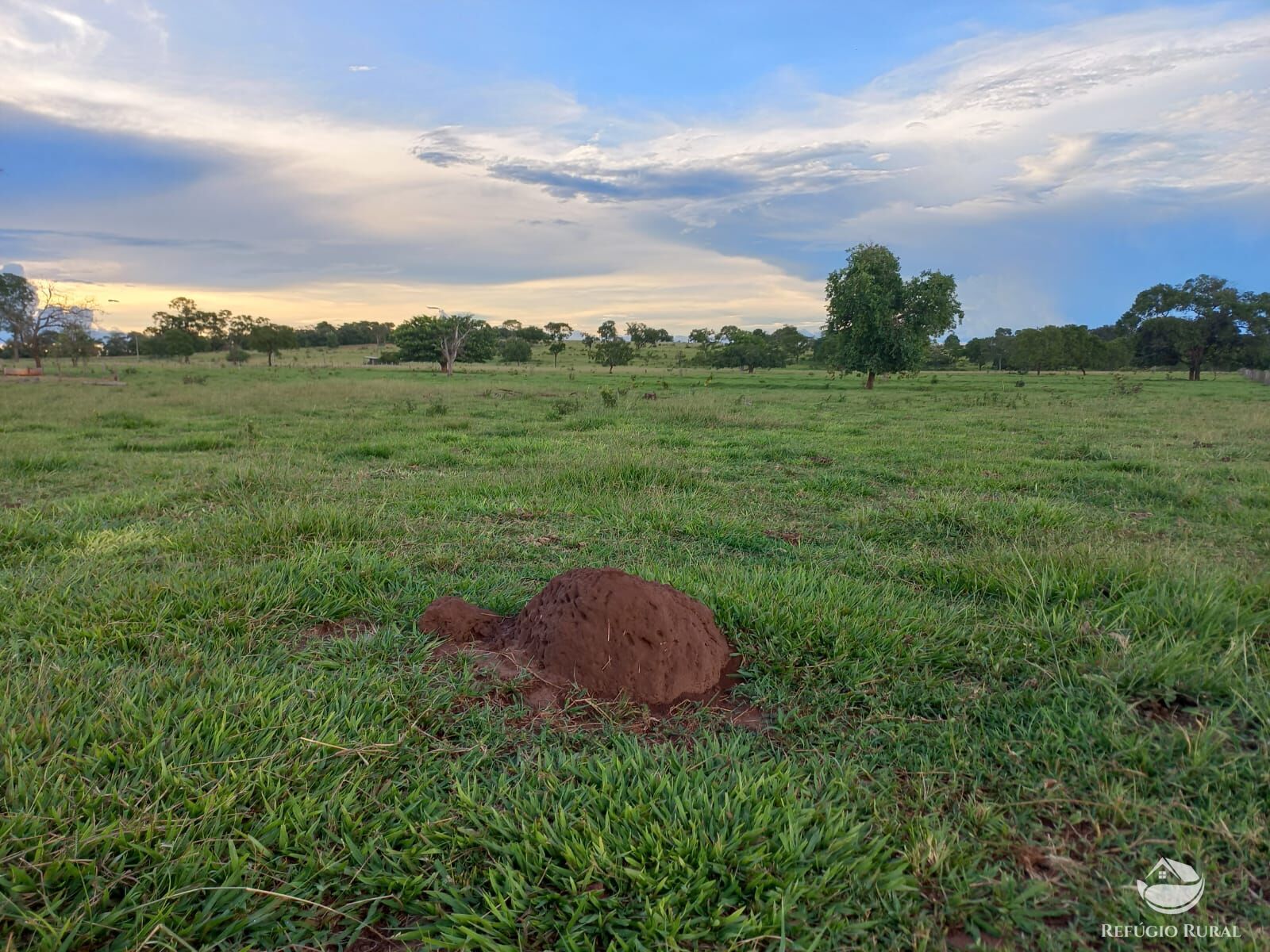 Fazenda à venda com 1 quarto, 1420000m² - Foto 5