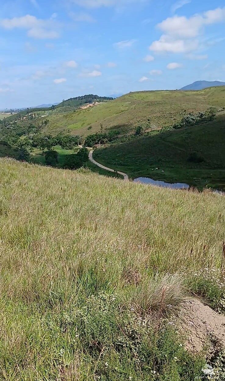 Terreno à venda, 20000m² - Foto 2