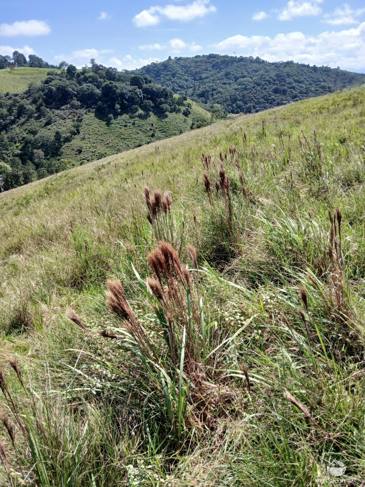 Terreno à venda, 20000m² - Foto 10