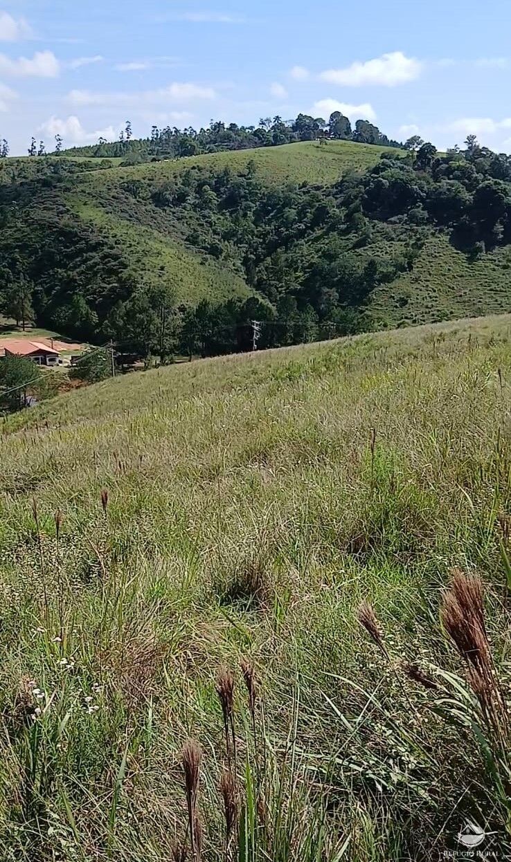 Terreno à venda, 20000m² - Foto 6