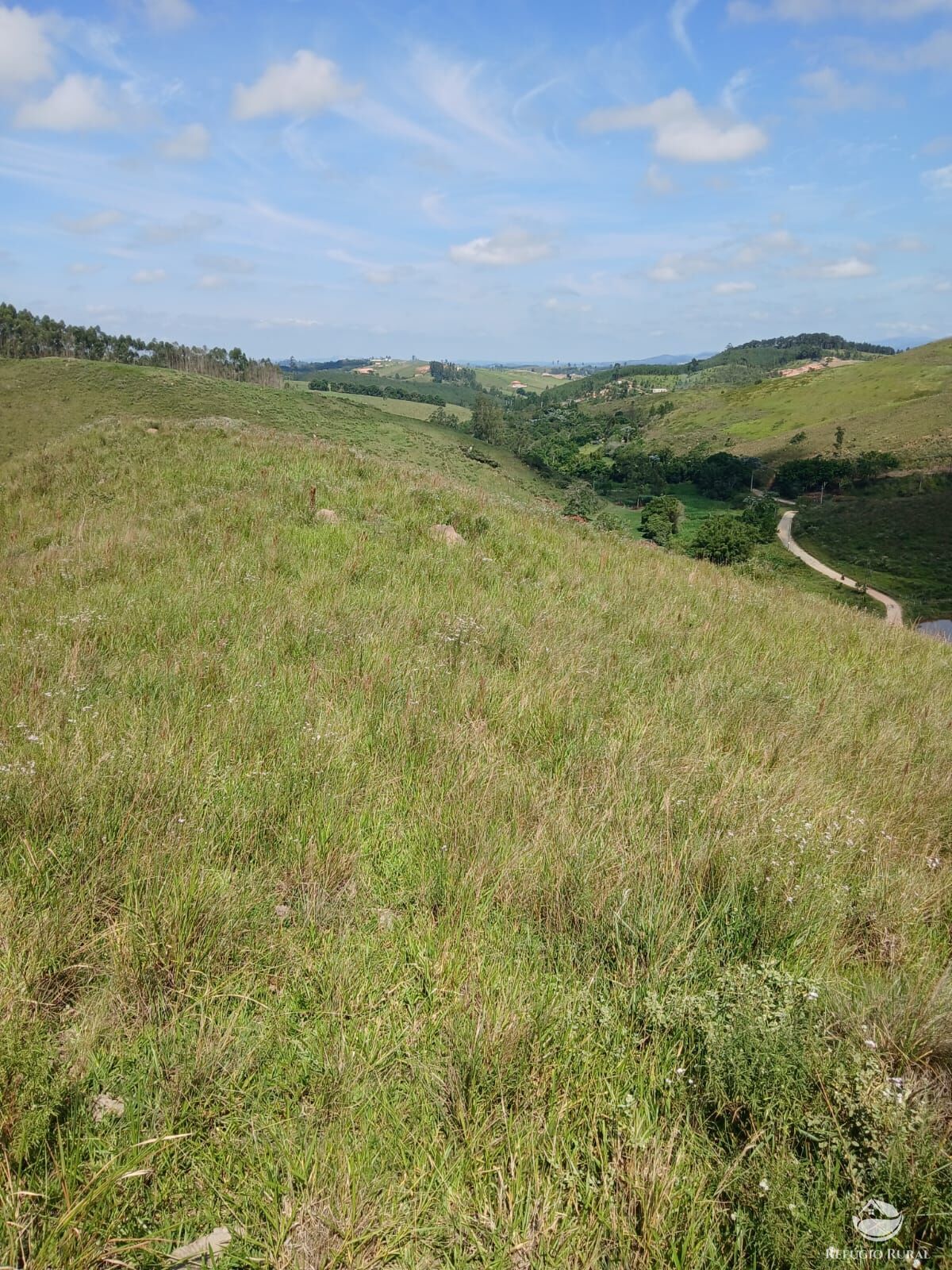 Terreno à venda, 20000m² - Foto 3