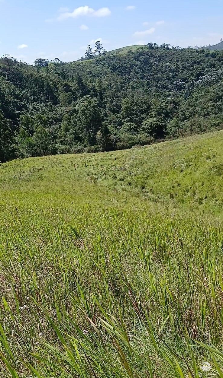 Terreno à venda, 20000m² - Foto 7