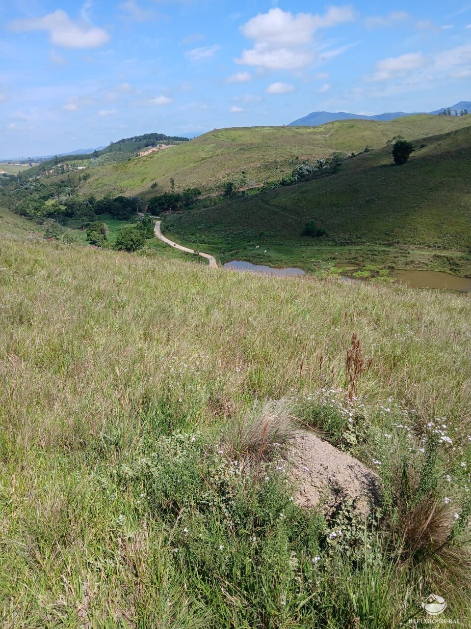 Terreno à venda, 20000m² - Foto 9