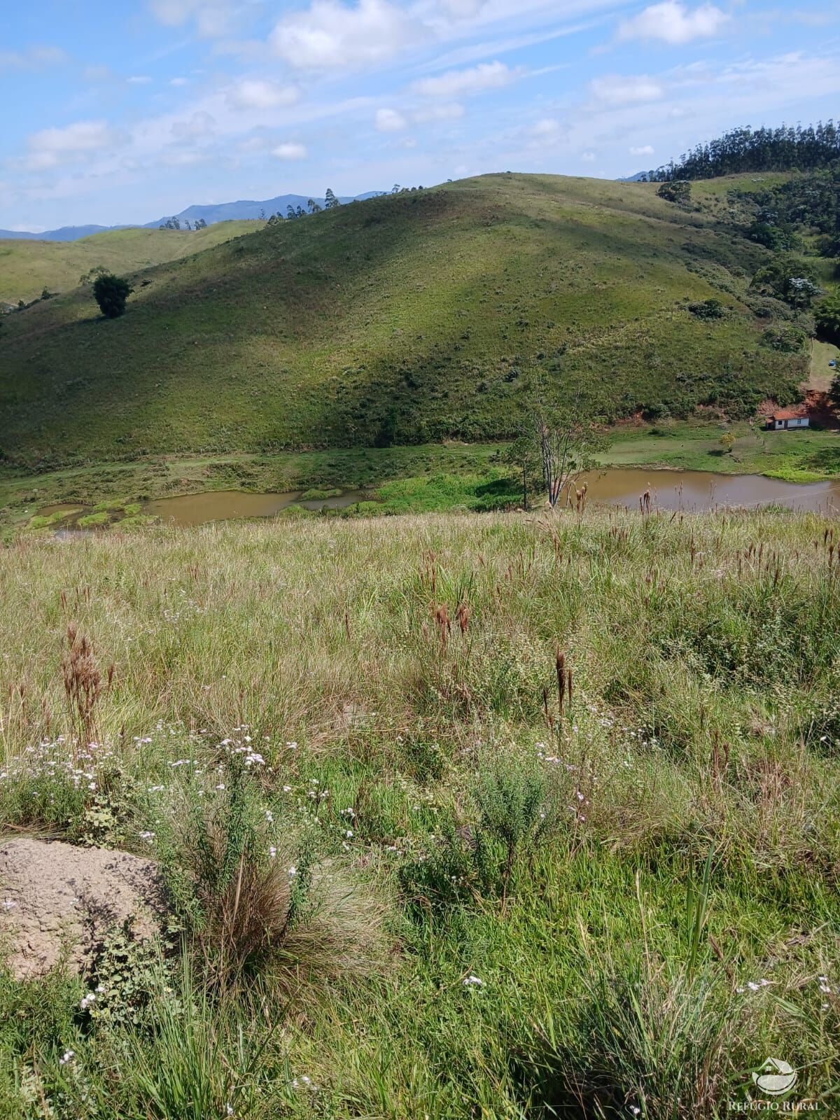 Terreno à venda, 20000m² - Foto 8