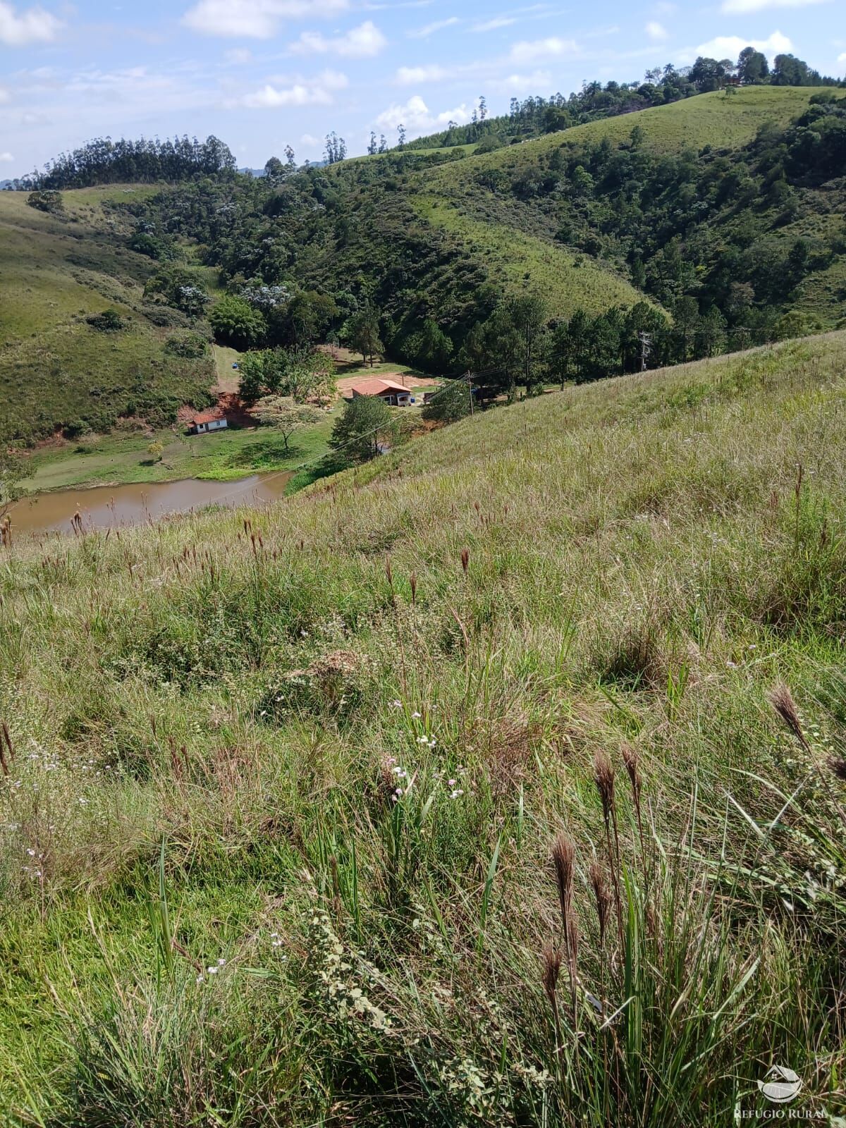 Terreno à venda, 20000m² - Foto 1