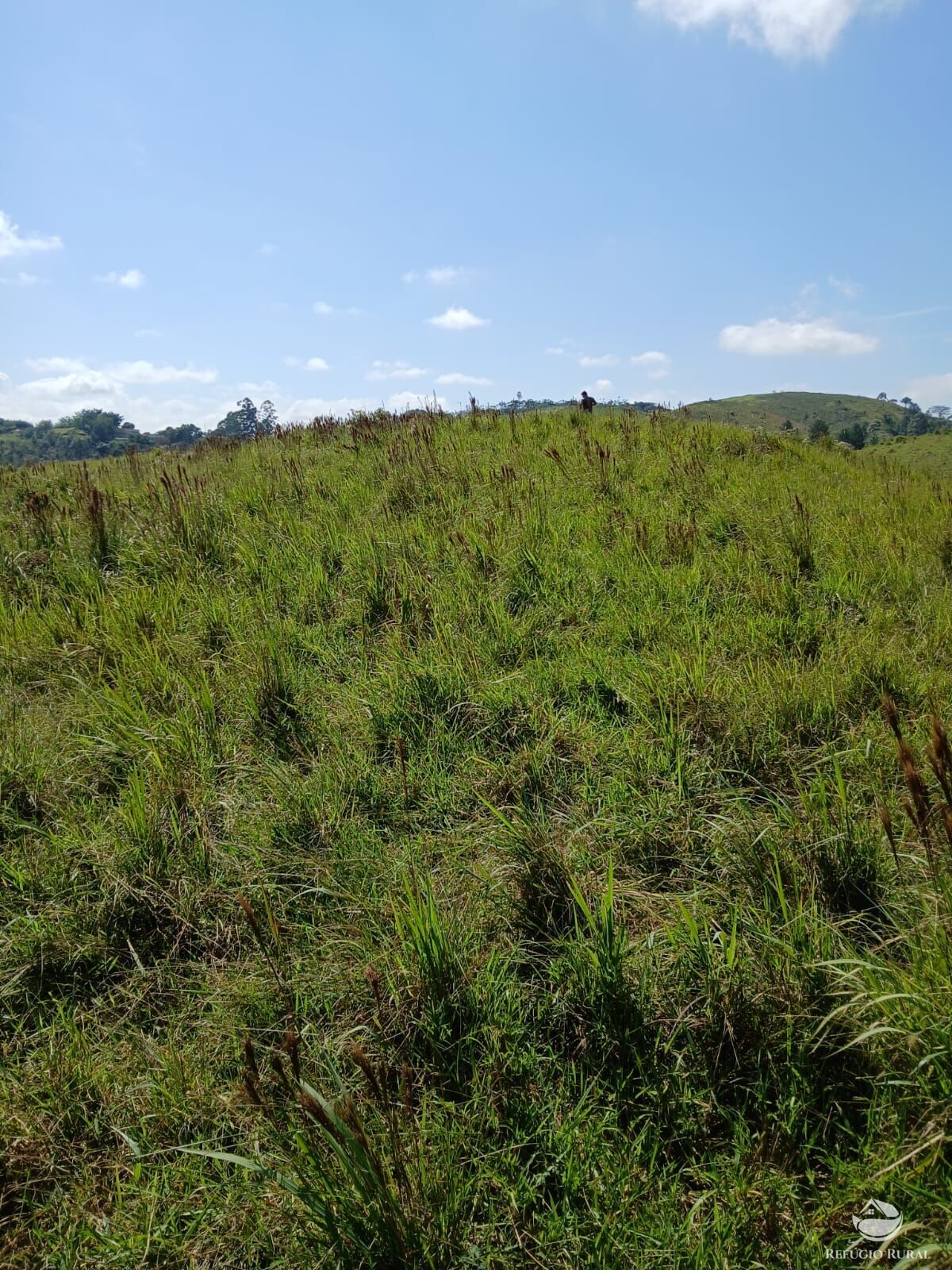 Terreno à venda, 20000m² - Foto 13