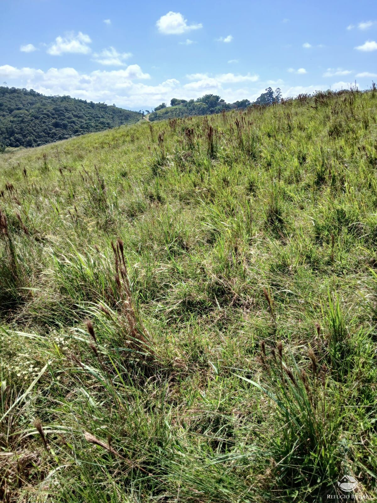 Terreno à venda, 20000m² - Foto 12