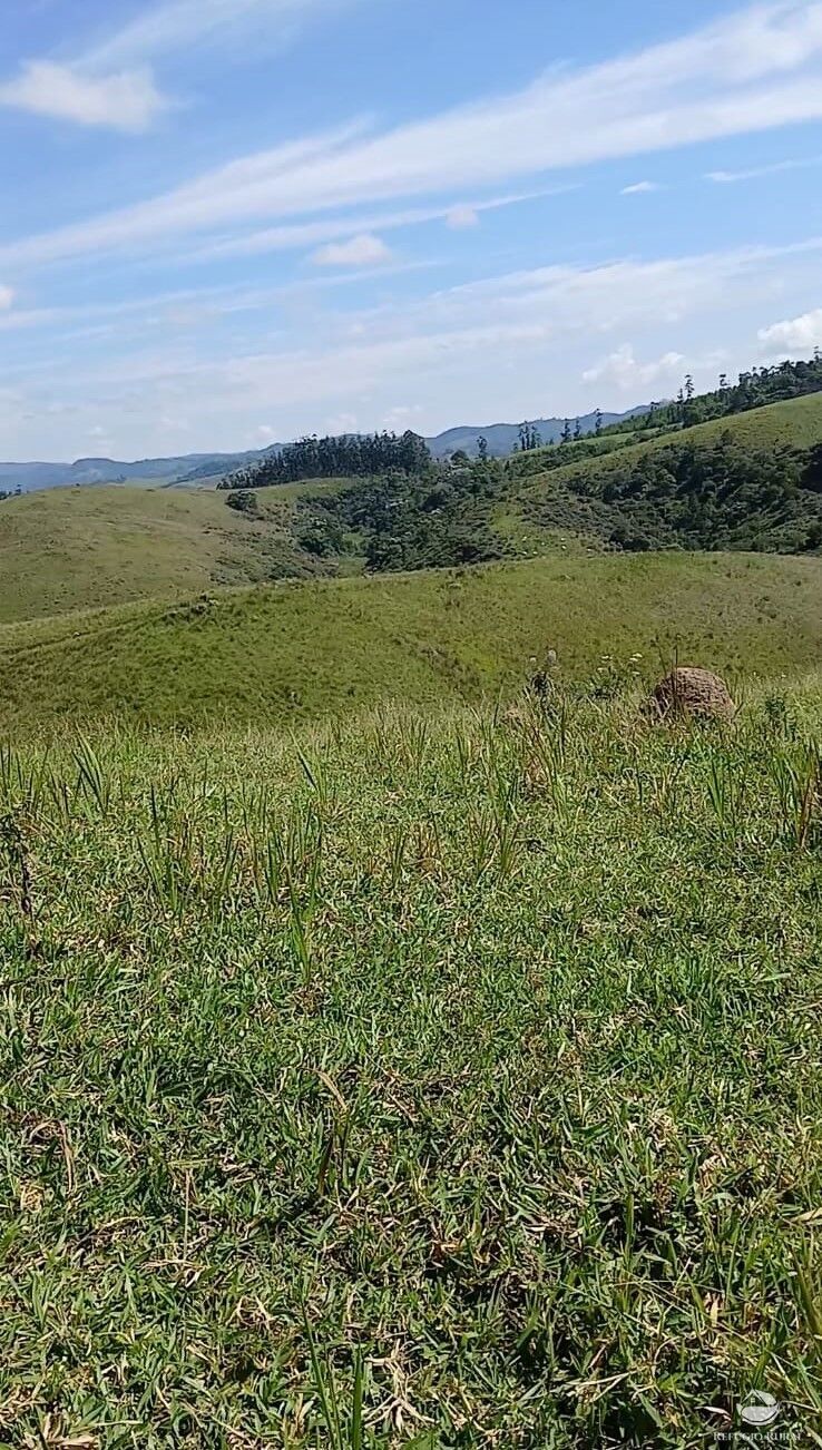 Terreno à venda, 20000m² - Foto 4