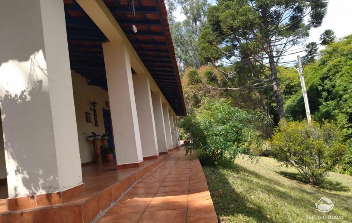 Fazenda à venda com 3 quartos, 217800m² - Foto 23