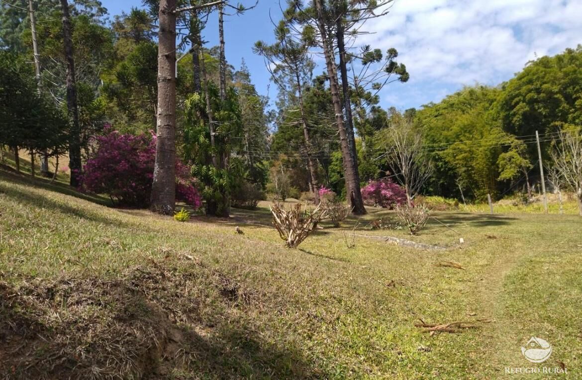 Fazenda à venda com 3 quartos, 217800m² - Foto 29