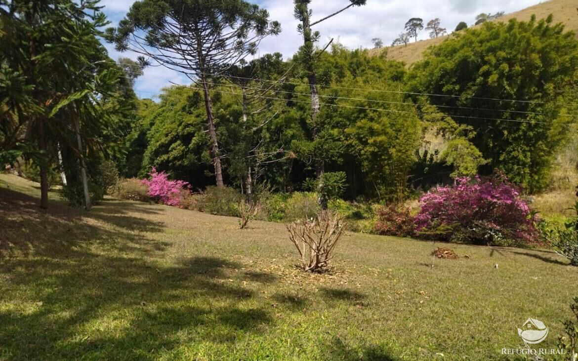 Fazenda à venda com 3 quartos, 217800m² - Foto 22