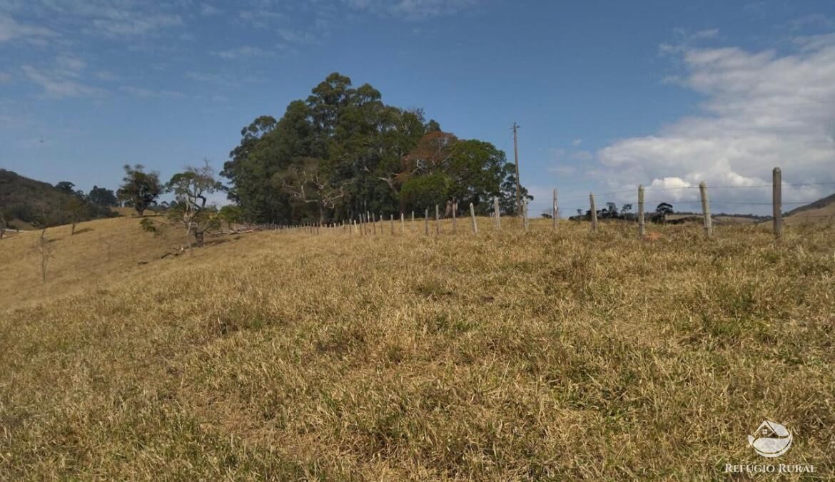 Fazenda à venda com 3 quartos, 217800m² - Foto 46