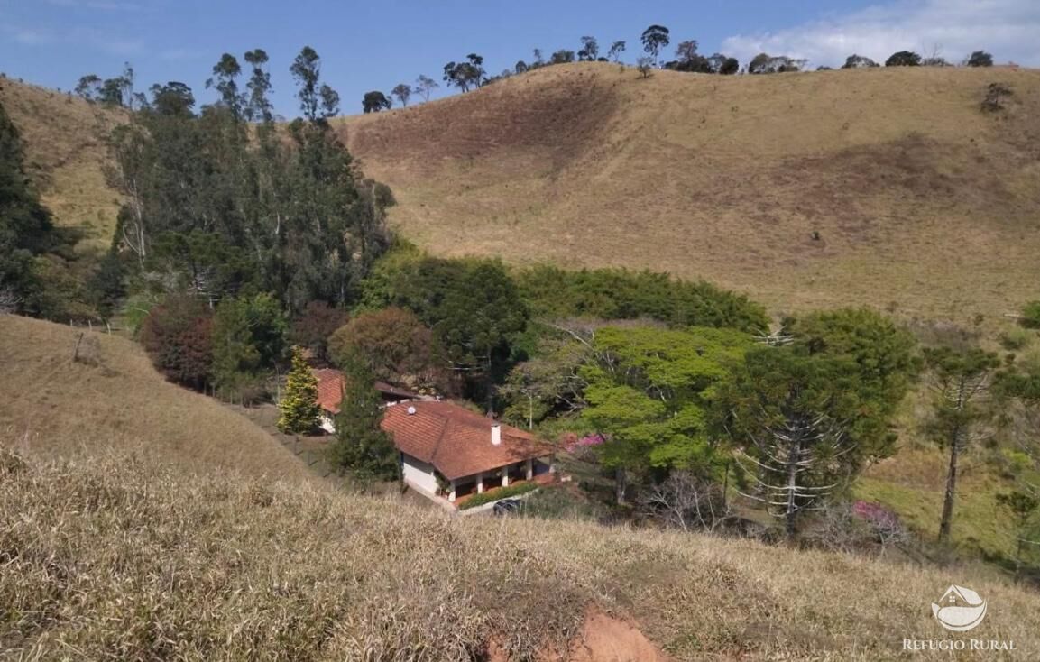 Fazenda à venda com 3 quartos, 217800m² - Foto 5