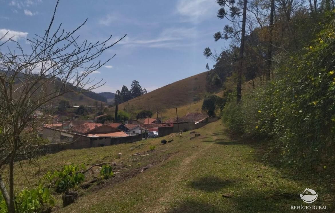 Fazenda à venda com 3 quartos, 217800m² - Foto 28