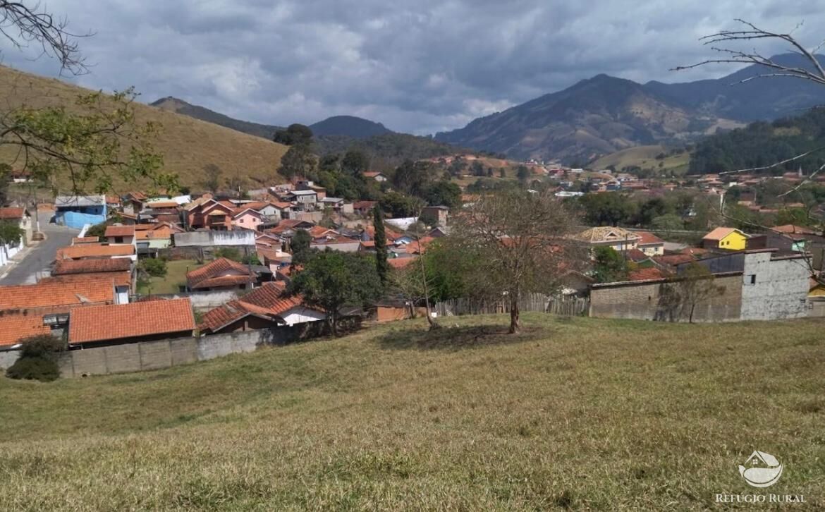 Fazenda à venda com 3 quartos, 217800m² - Foto 33