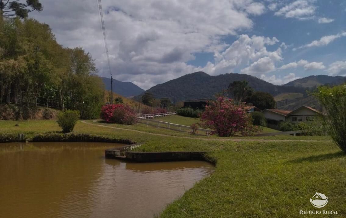 Fazenda à venda com 3 quartos, 217800m² - Foto 8