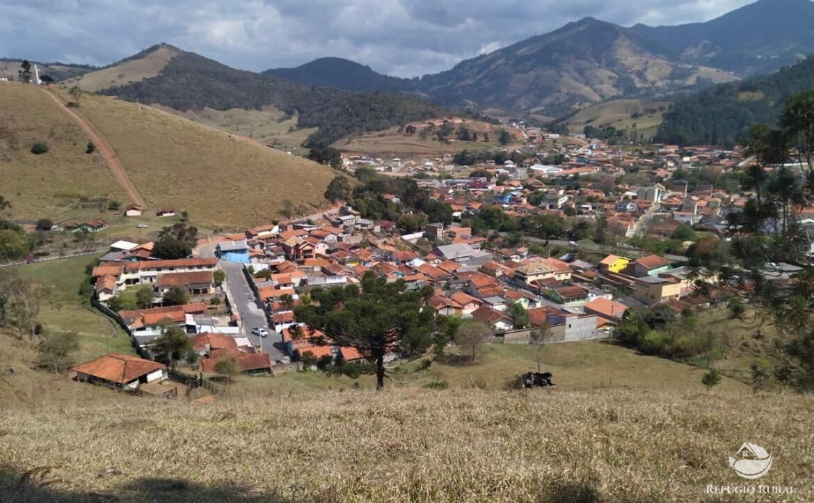 Fazenda à venda com 3 quartos, 217800m² - Foto 35