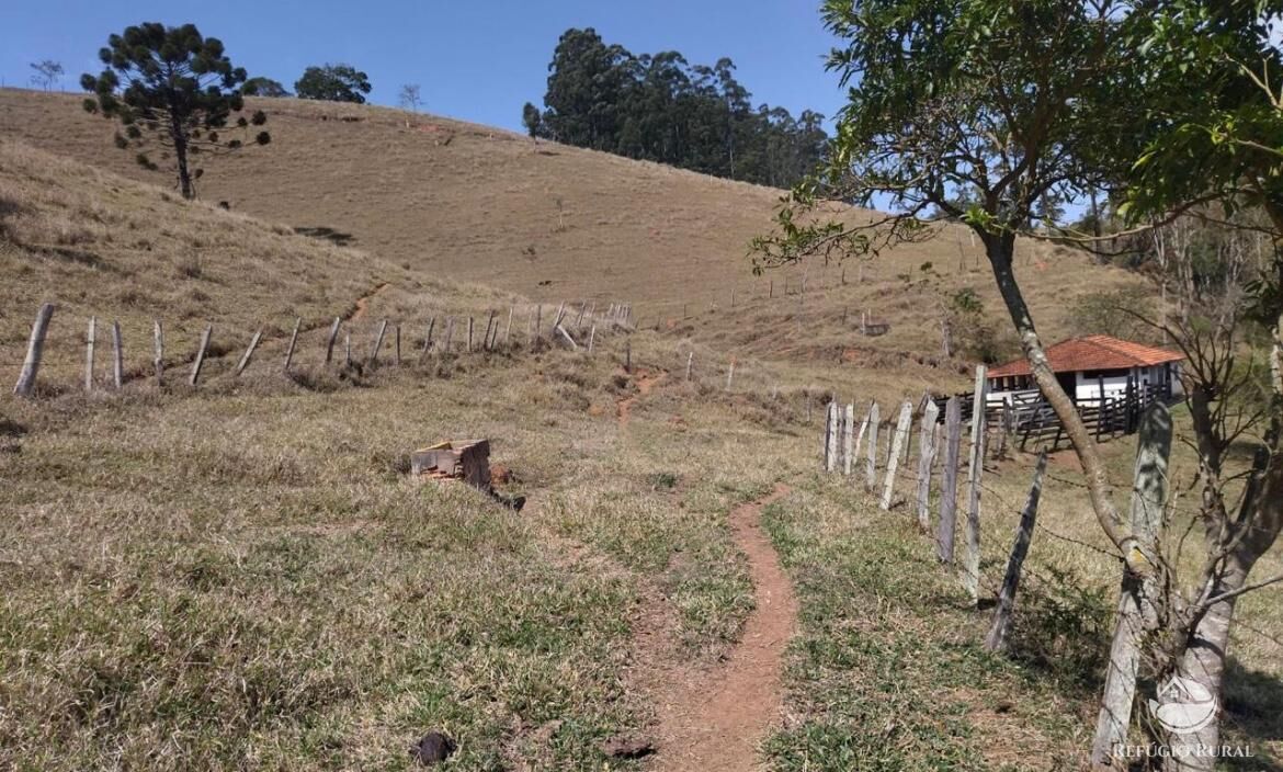 Fazenda à venda com 3 quartos, 217800m² - Foto 34