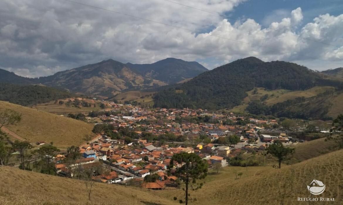 Fazenda à venda com 3 quartos, 217800m² - Foto 36