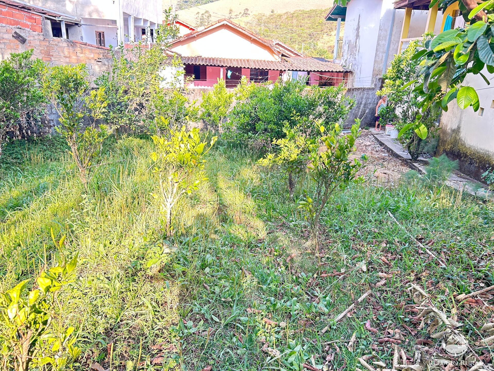 Fazenda à venda com 3 quartos, 2100m² - Foto 9