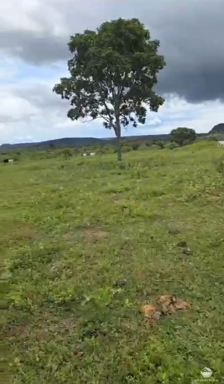 Fazenda à venda com 1 quarto, 18500000m² - Foto 3