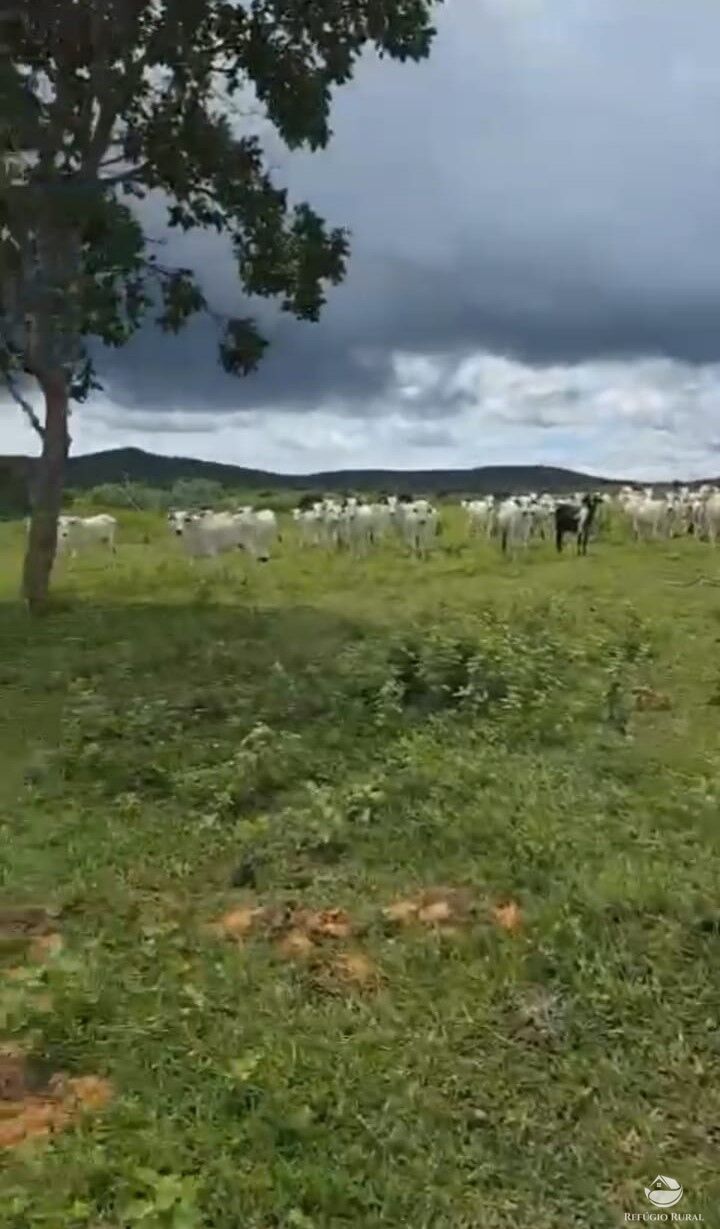 Fazenda à venda com 1 quarto, 18500000m² - Foto 1