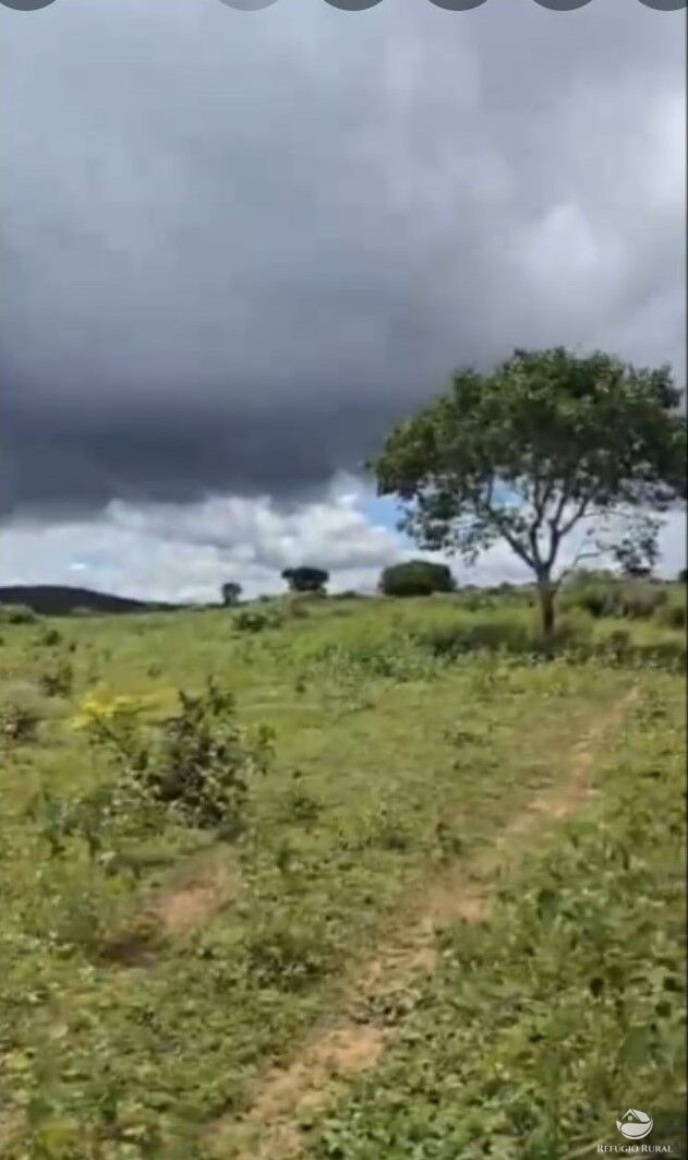 Fazenda à venda com 1 quarto, 18500000m² - Foto 2