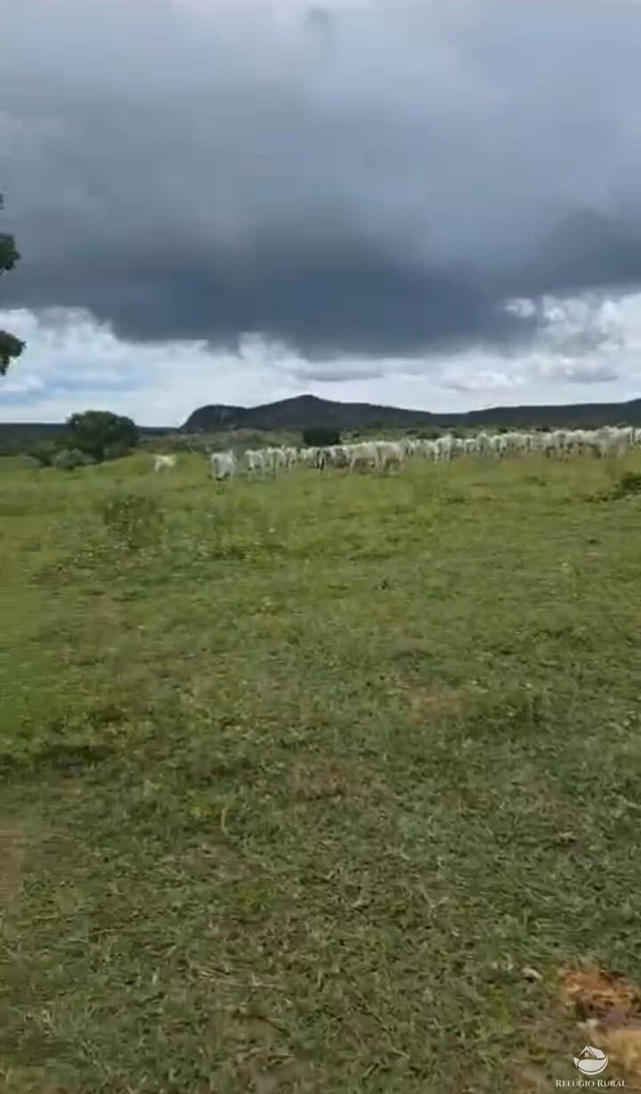 Fazenda à venda com 1 quarto, 18500000m² - Foto 5