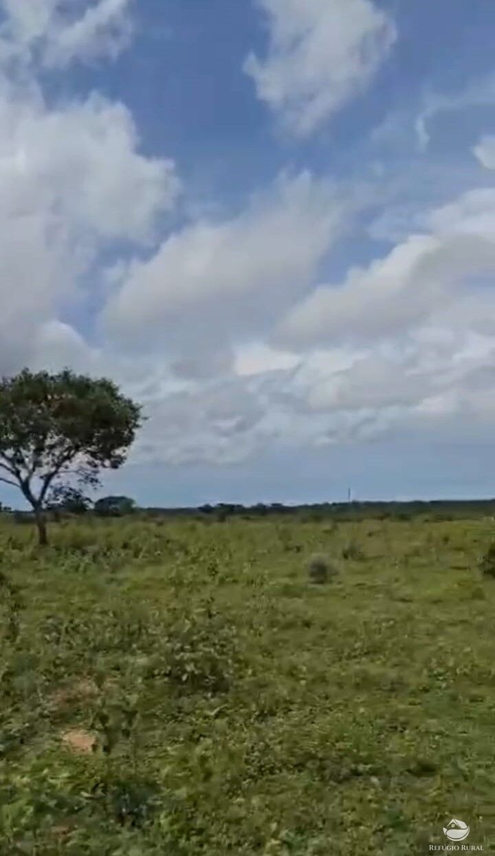 Fazenda à venda com 1 quarto, 18500000m² - Foto 6