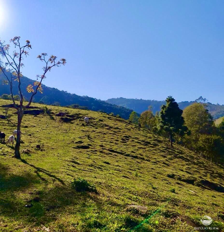 Terreno à venda, 36000m² - Foto 5
