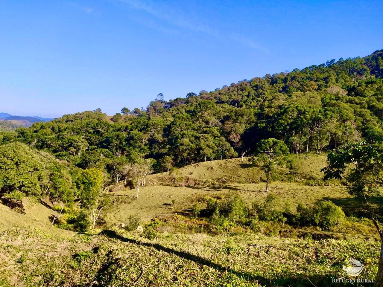Terreno à venda, 36000m² - Foto 4