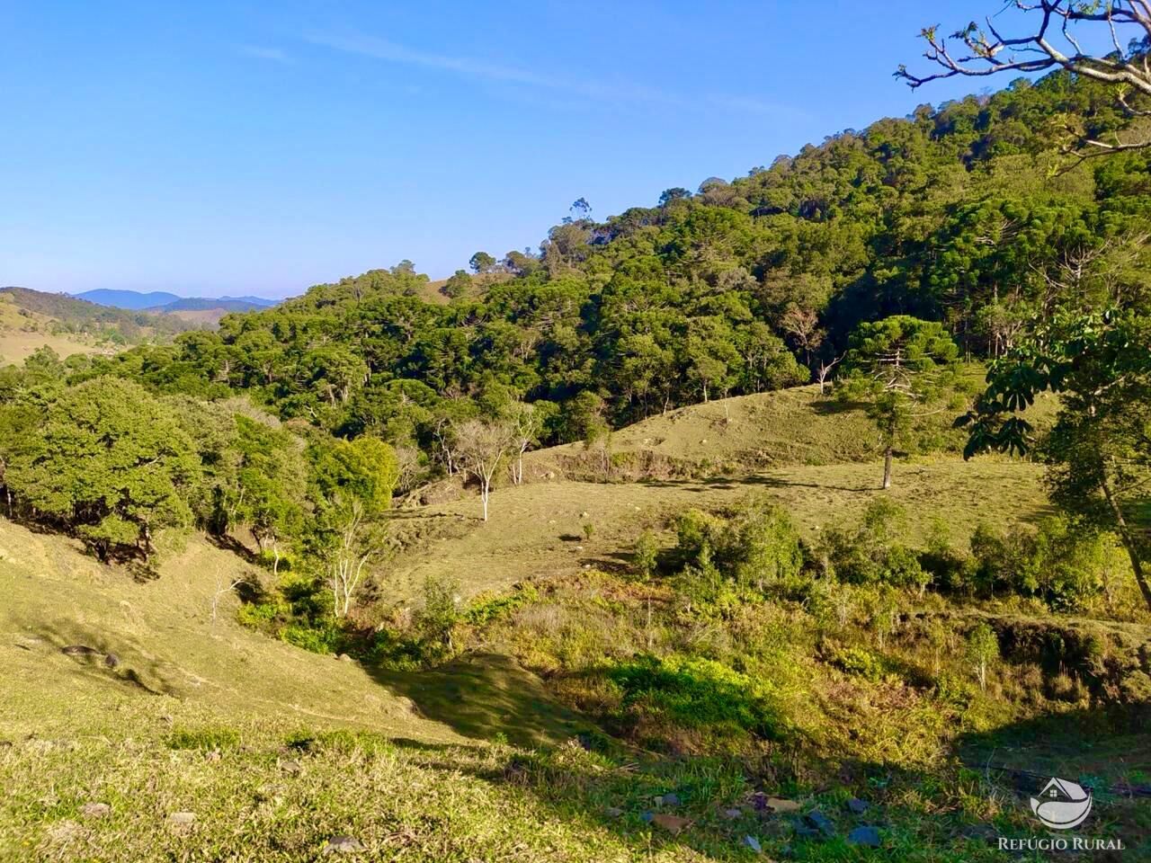 Terreno à venda, 36000m² - Foto 6