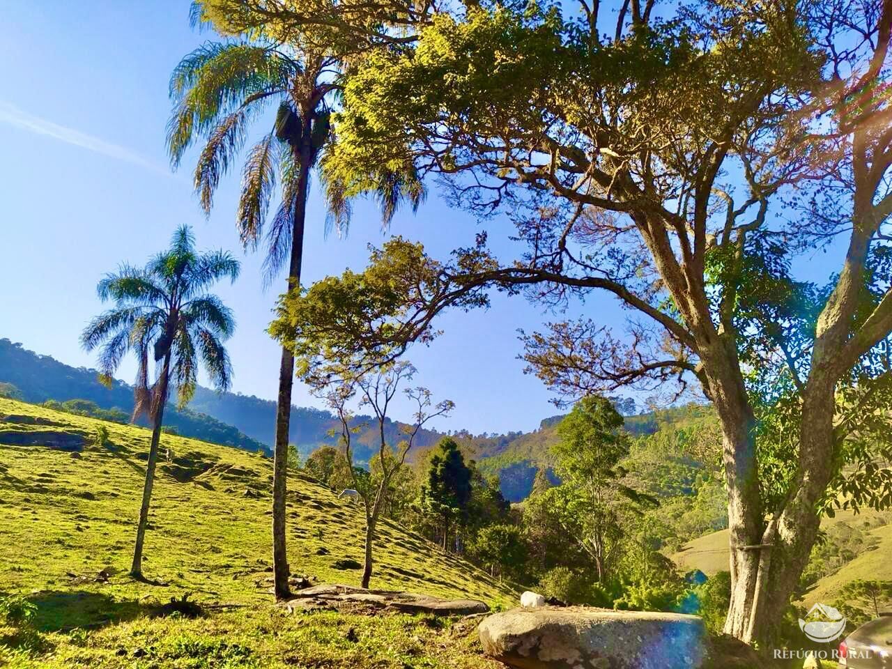 Terreno à venda, 36000m² - Foto 2