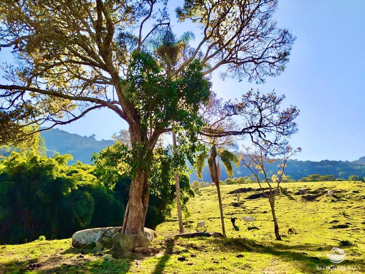 Terreno à venda, 36000m² - Foto 1
