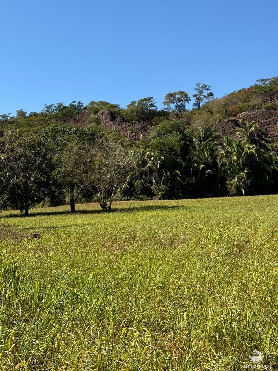 Fazenda, 1490 hectares - Foto 2