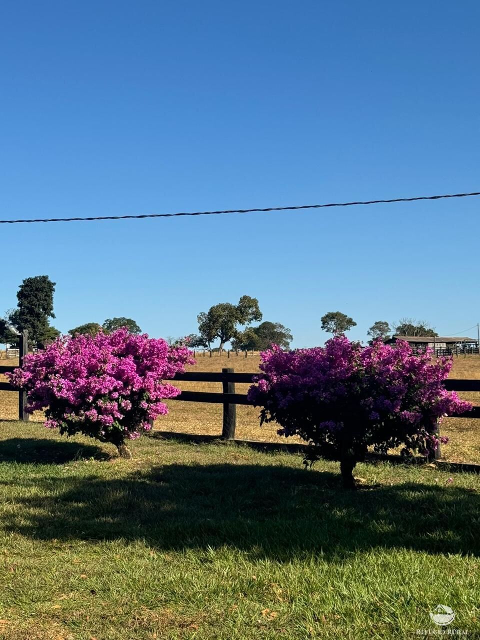 Fazenda, 1490 hectares - Foto 4