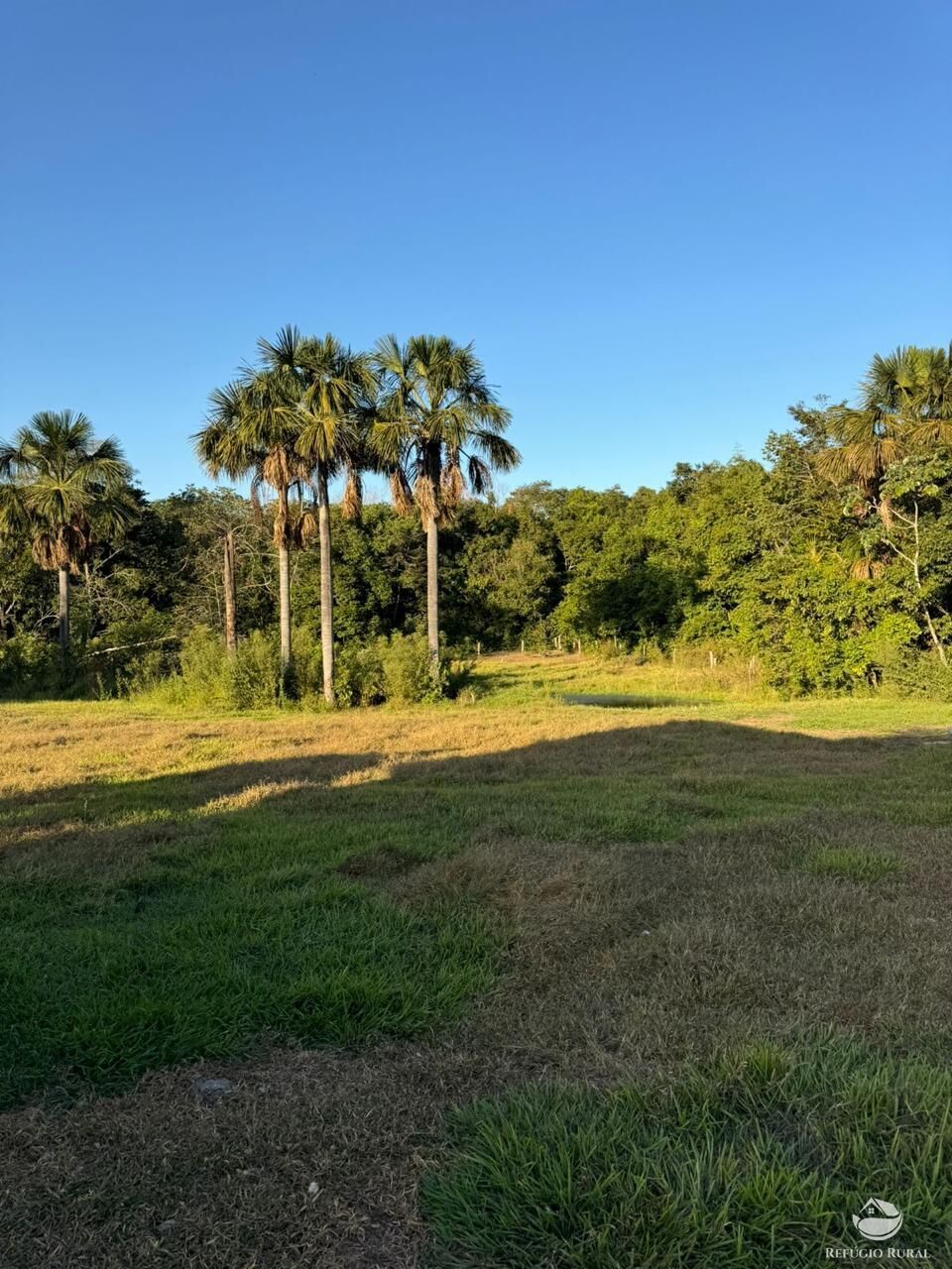 Fazenda, 1490 hectares - Foto 5